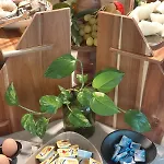 Le Vie Del Mare , Frühstückspension
